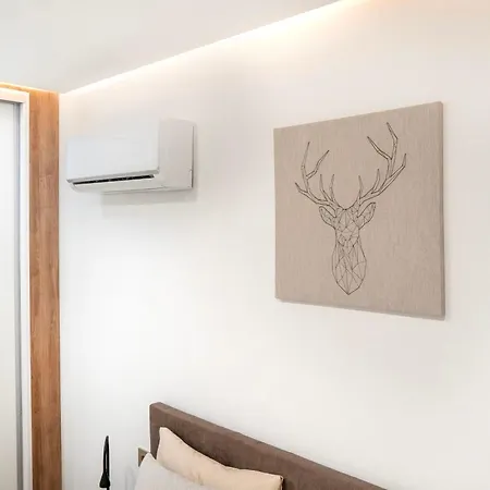 Newly Renovated, Luxurious With A Heated Pool, 259 別荘